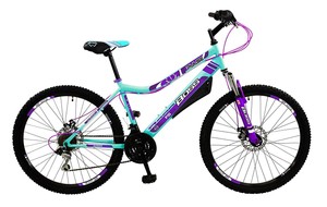 girls 26 inch bike