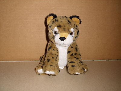 ddr shepherd for sale