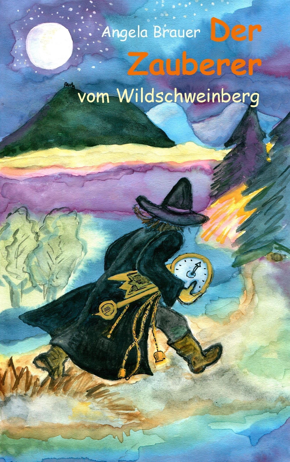 Angela Brauer | Der Zauberer Vom Wildschweinberg | Taschenbuch |