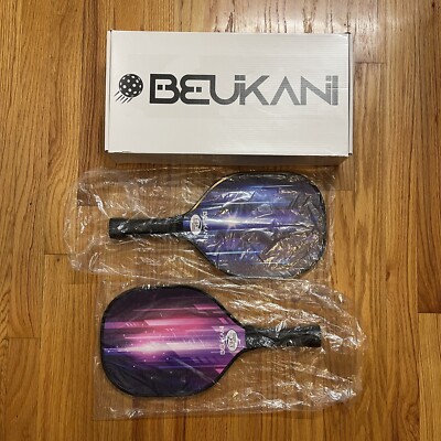 pickleball paddle set 2