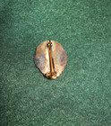 Bowling Pin ~~~  200 Club - Gold Wings @  bowling ball and pins — photo 2