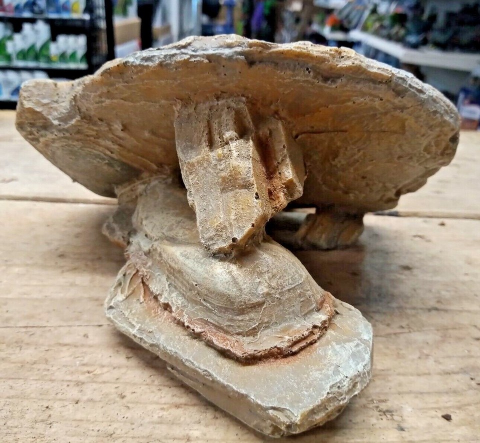 Natural Rock Effect Fallen Arch Swim Thru Cave Aquarium Fish Tank ...