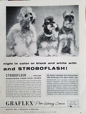 1955 Graflex Camera Black and White Poodle Terrier Dog Stroboflash Original Ad