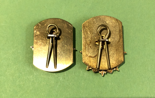 British Army. RLC Royal Logistic Corps Collar Badges VGC X2 Pair - Picture 2 of 2