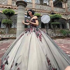 Exquisite Quinceanera Dresses Applique Off Shoulder Sleeveless Sweet 15 16 Party