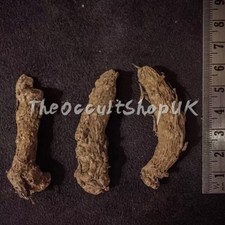 RARE BLACK MAGIC NATURAL PROTECTION TALISMAN OCCULT WICCA PEGAN PARANORMAL
