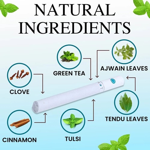 10 Sticks White Leaf Premium Herbal Smoke Mint Flavour with Cinnamon Green Tea - Picture 2 of 5