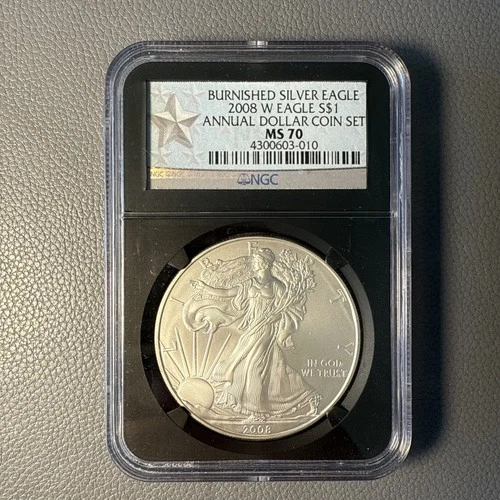 2008 Burnished W Silver Eagle S$1 NGC MS70