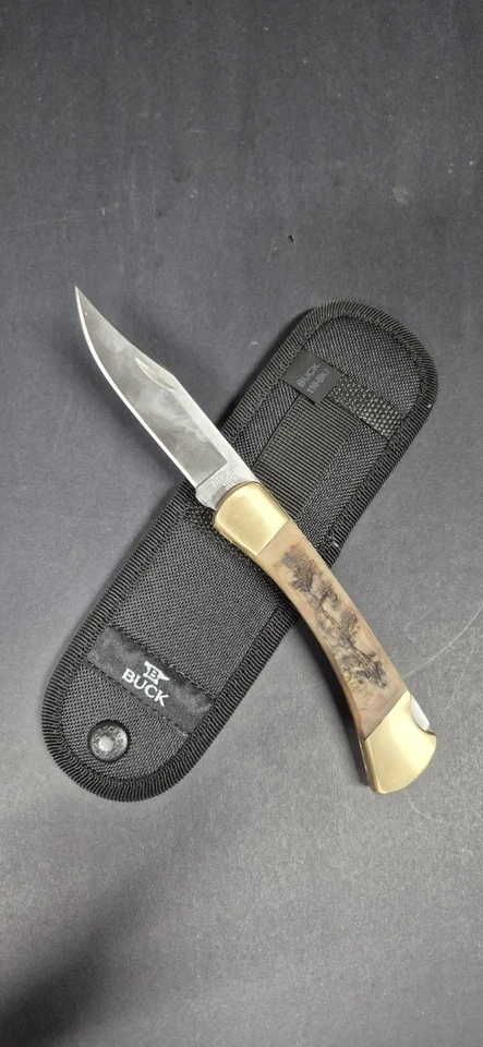 Custom Buck 110 Folding Hunter Knife Ram Horn Handle Scales 2025 - Image 3 of 4