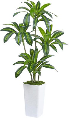 Artificial Silk Tree False Tropical Yume Floor Planter with White Tall Pot