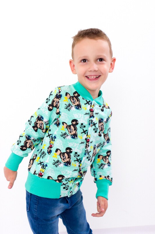 Sweatshirt (boys), Any season,  Nosi svoe 6029-055-4 (mikki-miata)