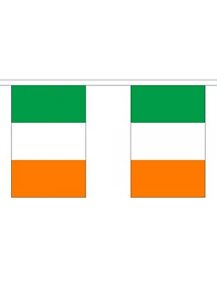 IRELAND FLAG BUNTING 9 metres 30 flags EIRE DUBLIN 