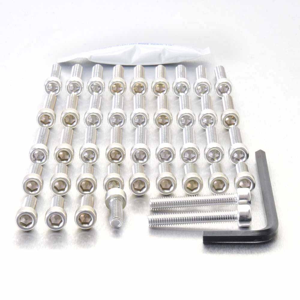 Daytona-Street Triple Race Spec Silver Fastener Kit | eBay