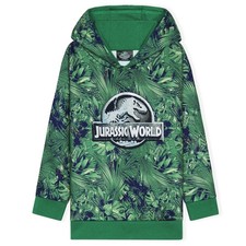 Hoodie Kids Boys And Girls Dinosaur Hoodie Teenagers Age 34...