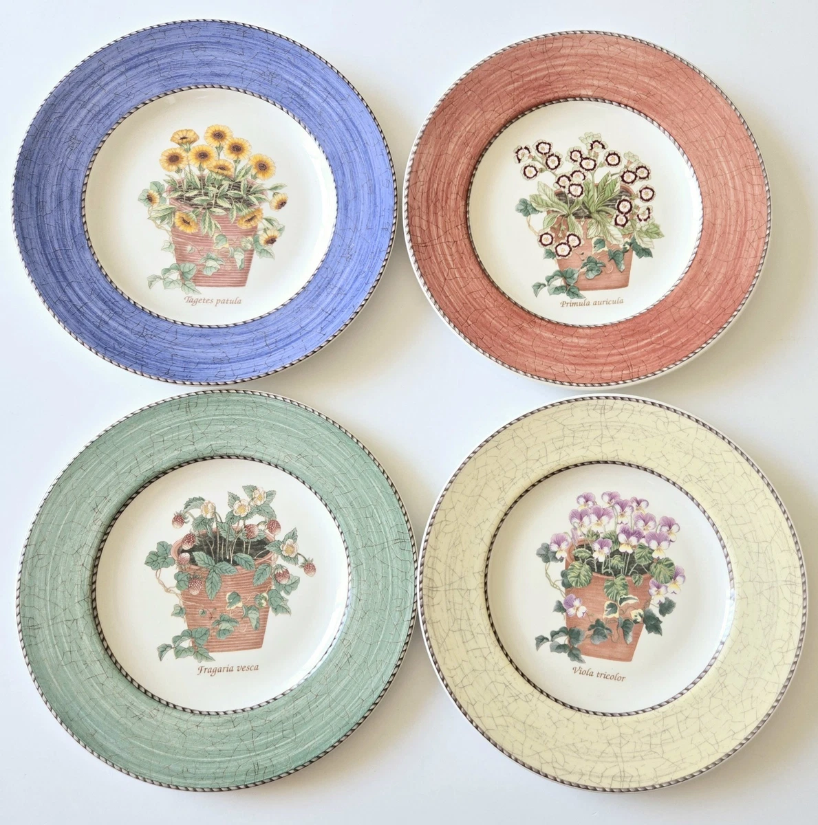 Sarah S Garden for sale | eBay