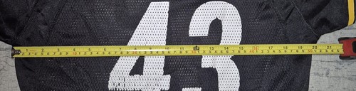 Reebok NFL Pittsburgh Steeler's 43 Polamalu Womens Jersey XL - Picture 9 of 10