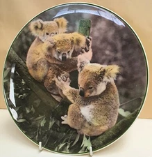 Royal Doulton Australian Views Koala Bears Display Plate D6424 c1953-67 England