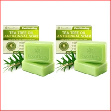 2 Pack ANTIFUNGAL SOAP Tea Tree Antibacterial Treatment for Face Body ROYCEDERM