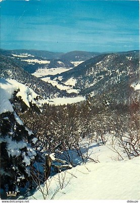 AK - 88 - Vogesen - Das Tal der Seen - Longemer - Returnemer - Hive
