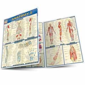 Anatomy 2 QuickStudy Laminated Reference - Pamphlet, by Vincent Perez - Good j