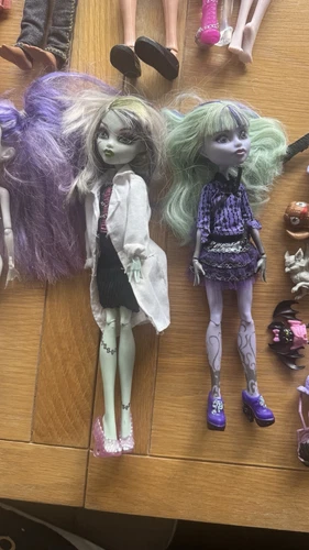 Monster High Muñecas Paquete x20 Accesorios Ropa Mascotas Figuras Raras - Imagen 6 de 21