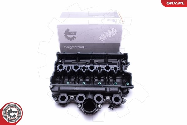 Esen SKV 49SKV021 Saugrohrmodul FüR Nissan,Opel,Renault-image