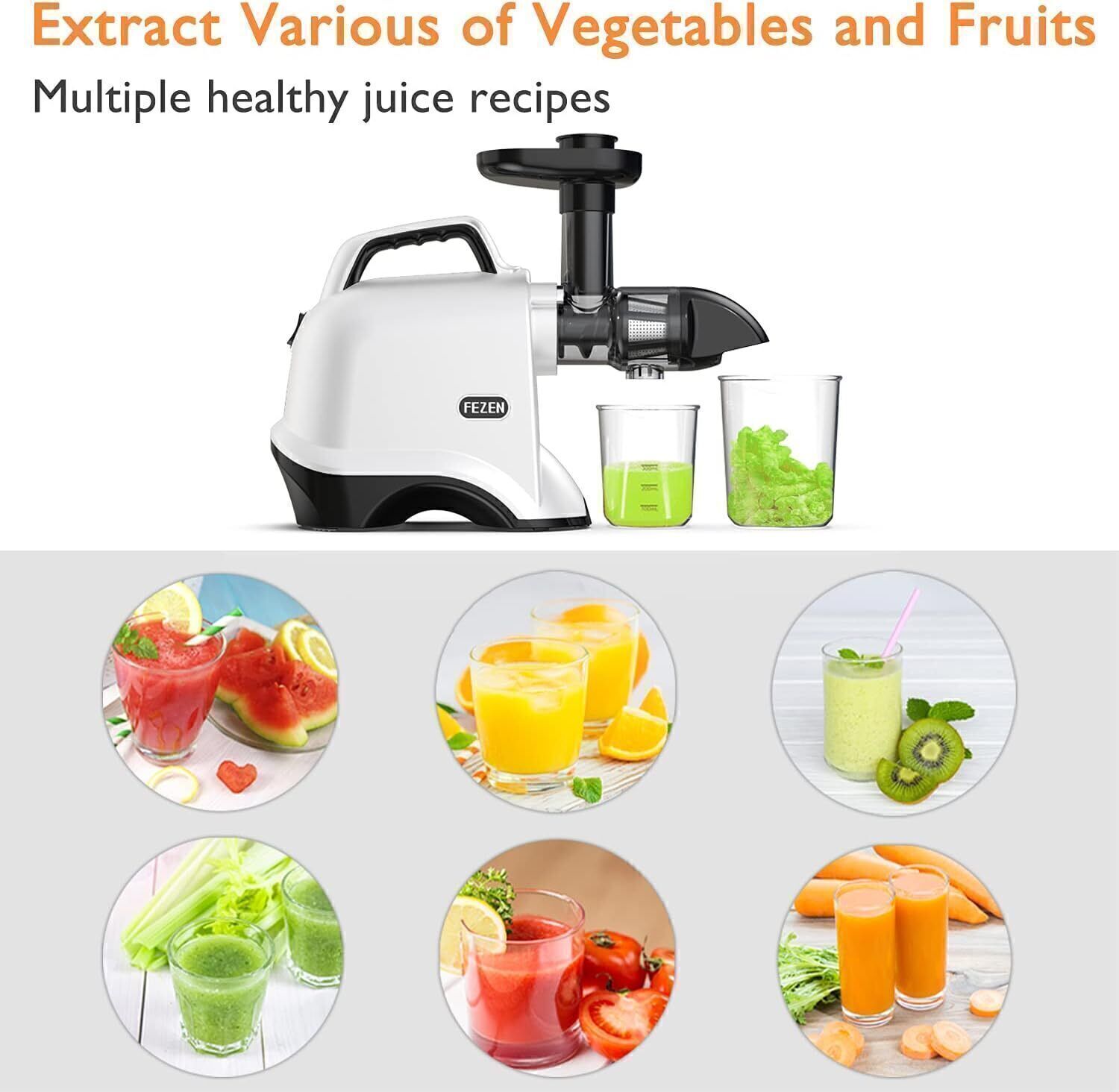 Juicer Machines Slow Masticating Cold Press Juicer for Fruits & Vegetable US