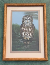 BARRED OWL PAT DiCOMO Di COMO ARTIST SIGNED PASTEL PAINTING ORIGINAL ART FRAMED