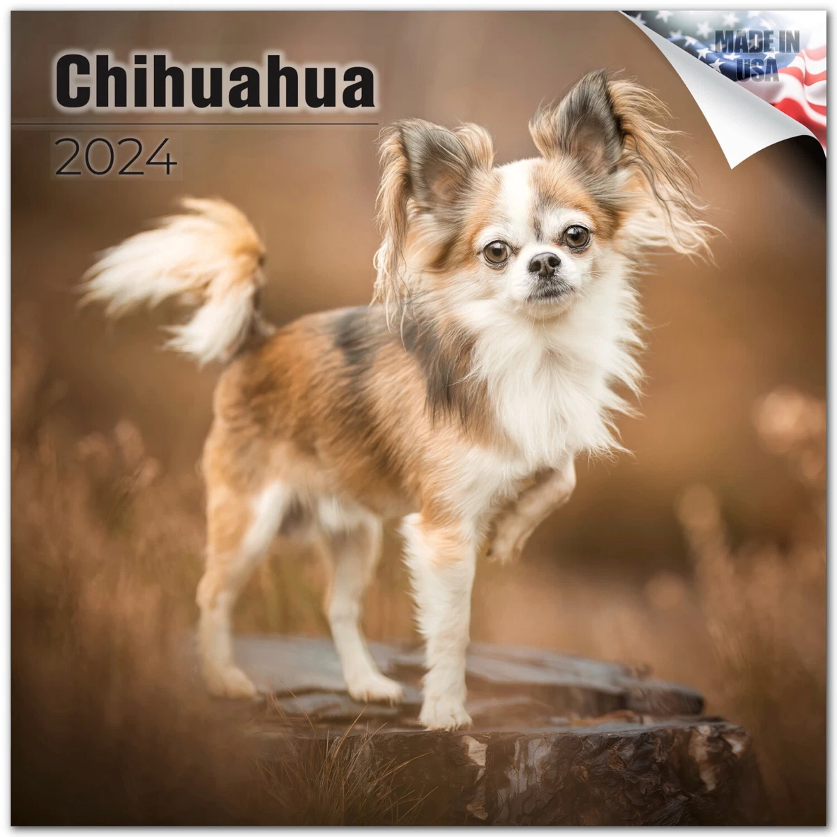 Calendrier 2024 Chihuahua