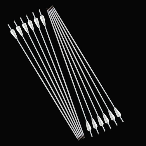 30 Zoll Weiß Carbonpfeile Jagdpfeile SP500 Vanes Zielschießen Recurve Bogensport - Picture 10 of 14