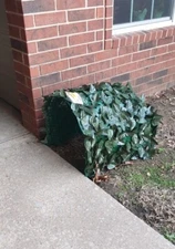 HIDEAPACK  Front Door Porch Parcel Hider 2'x1'x2' box camo fedex ups usps amazon