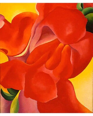 GEORGIA O'KEEFFE fine art print photo RED CANNA II nature flower picture L7