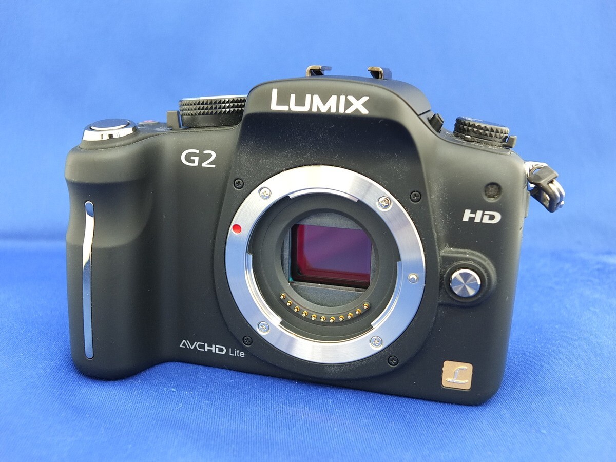 Panasonic LUMIX DMC-G2 12.1MP Digital Single Lens Camera