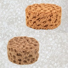 Large Sea Sponges for Artists Unbleached 2pc Value Pack Art Texturing Decorat...