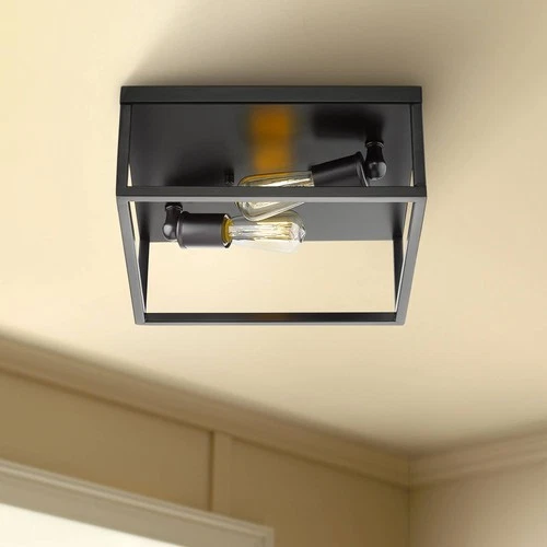 Wesson 12" Wide Matte Black Square 2-Light Ceiling Light - Picture 1 of 8