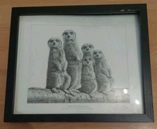 Eyes To The Right von Kevin Hayler. Gedruckt vom Original und signiert 