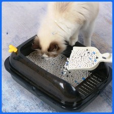 Cat Litter Jade Ball Crystal