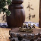 Foto 9 di 10