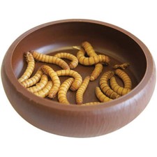 Komodo Mealworm Dish Reptile Gecko Viv Feeding Food Bowl Lizard Plastic