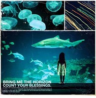 Bring Me The Horizon - Count Your Blessings - Cd - D99Z