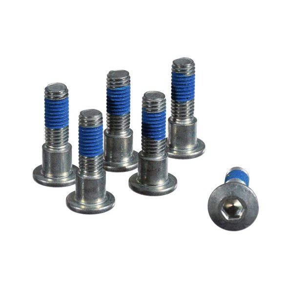 TRW Bremsscheibenschrauben M8X1,25X33,5 (FüR: Triumph TT 600 806AD 00-03 Vorne )-image