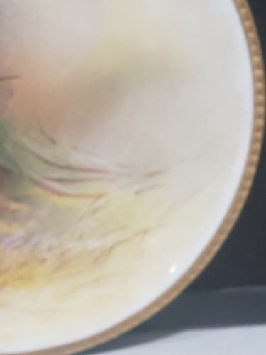 Antique LRL Limoges France Handpainted Long Beak Bird 9 3/4" Signed GOLSE Plate - Picture 4 of 9