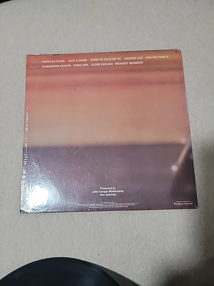 JOHN COUGAR American Fool 1982 Vinyl LP Riva RVL 7501 - VG+ Foto 2 de 4