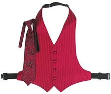 Boy's Fuchsia Pink Jean Yves Tuxedo Vest  Tie Wedding Ringbearer Cruise