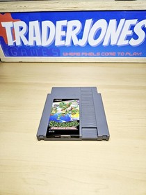 Teenage Mutant Ninja Turtles (Nintendo NES, 1989) testato autentico