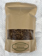 Isopods - Dried Mealworms - 4oz