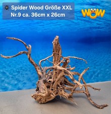 👋XXL Moorkien - Spiderwood Aquarium Wurzel