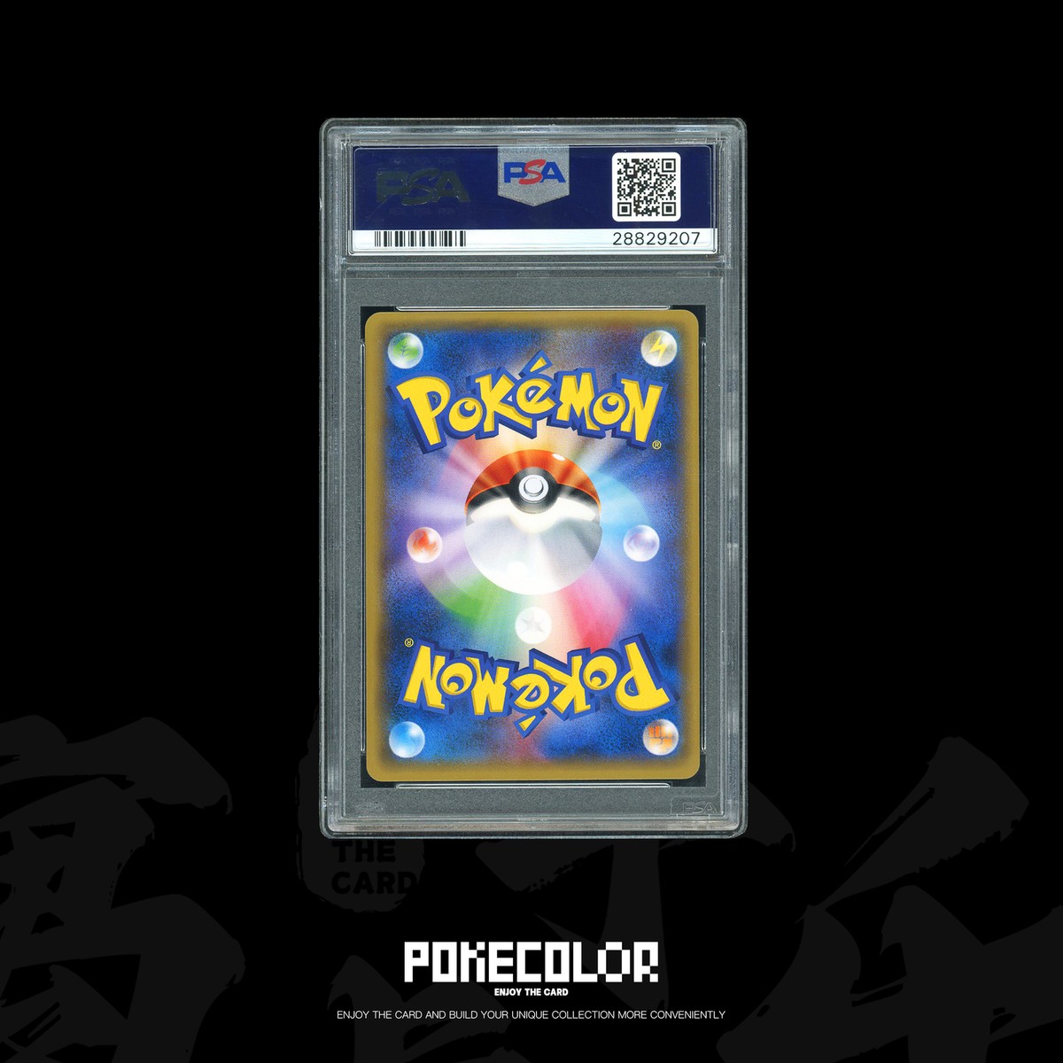 2017 Japanese XY Promo Giovanni's Scheme Rocket Case Sginatures