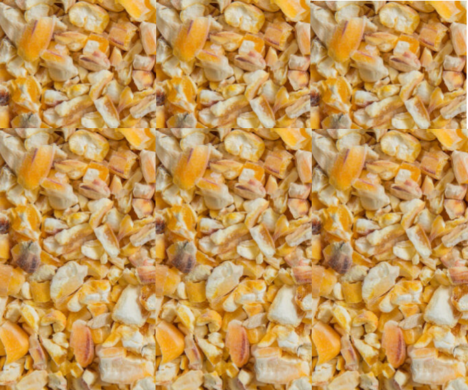 25kg CUT CORN KIBBLED MAIZE GRITS Chicken Food Fishing Bait