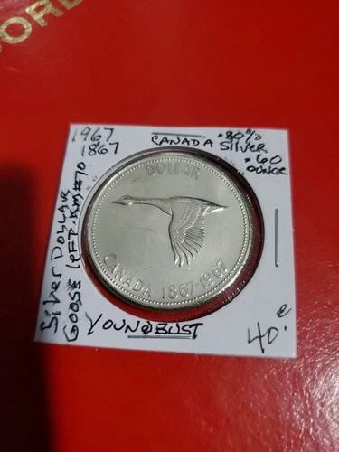 1967 .80% Silver Dollar Goose Flying. .600 Ounce,Young Bust,protection 2x2 Coin.